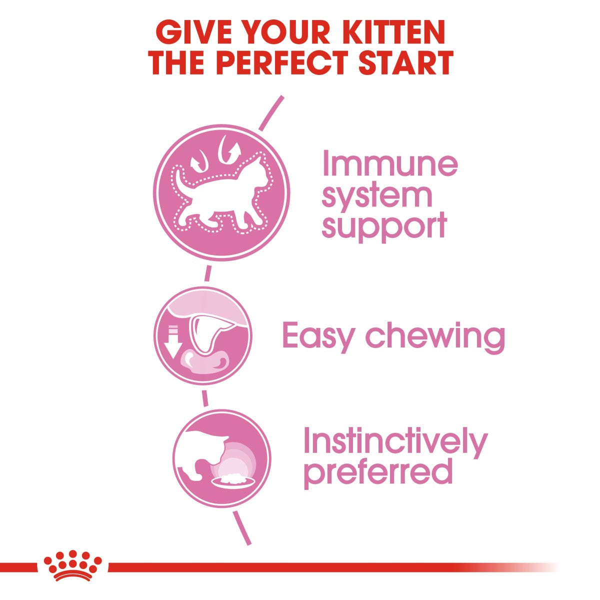 Royal Canin Feline Health Nutrition Kitten Jelly (Wet Food - Pouches) 12 x 85 g