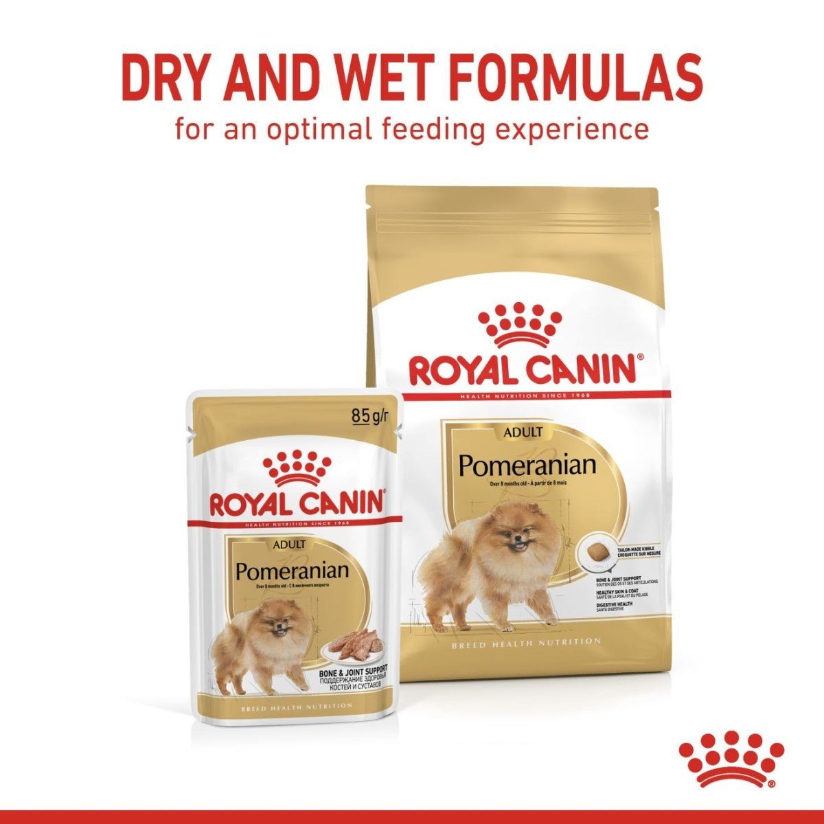 Royal Canin Breed Health Nutrition Pomeranian (Wet Food - Pouches) 12 x 85 g