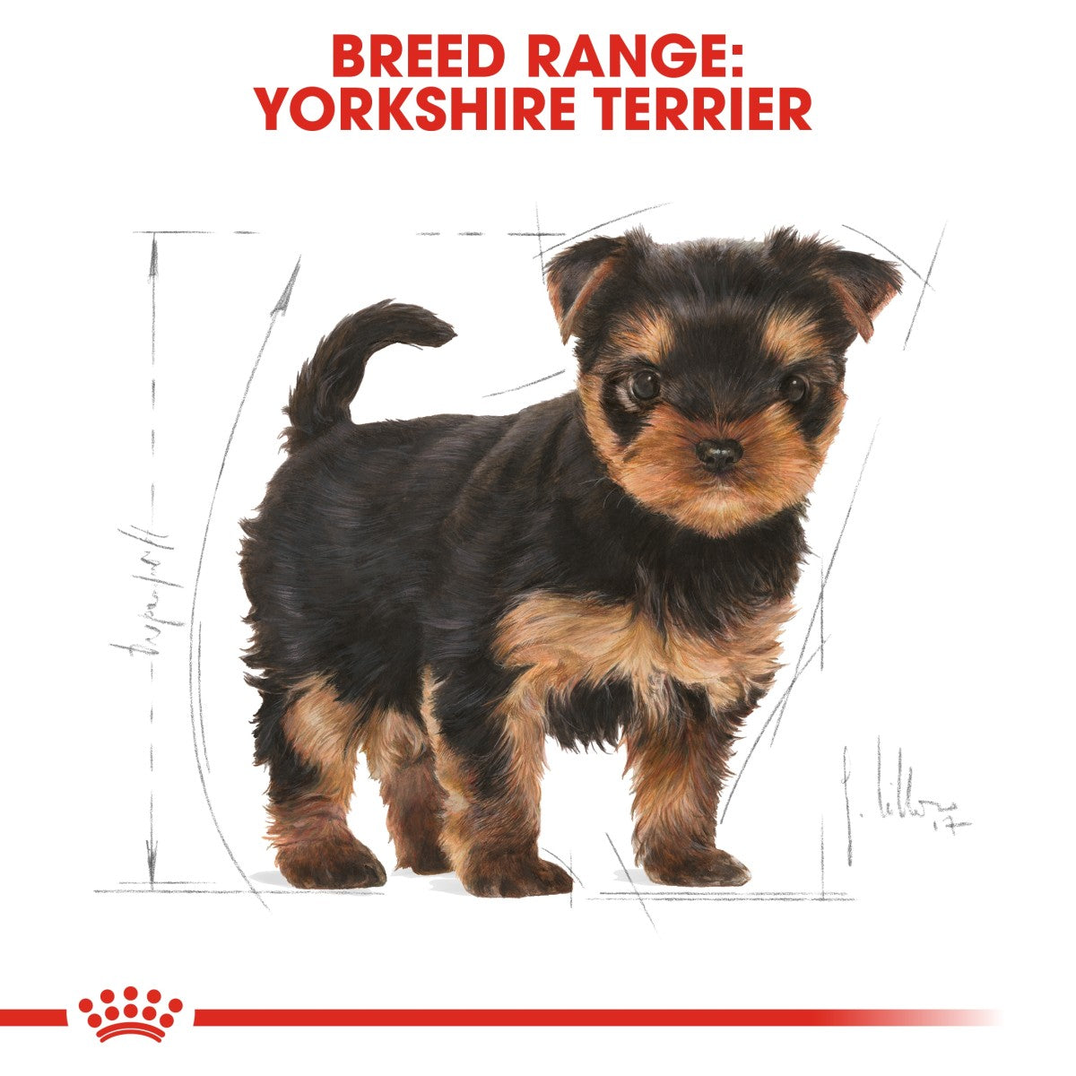 Royal Canin Breed Health Nutrition Yorkshire Puppy 1.5 kg