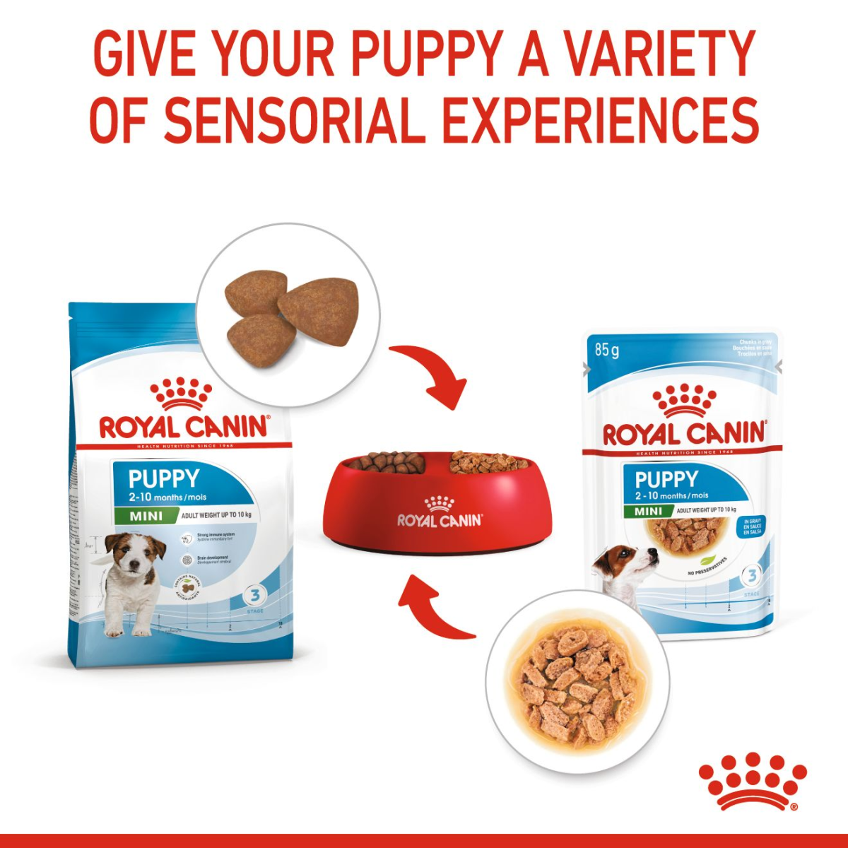 Royal Canin Size Health Nutrition Mini Puppy (Wet Food - Pouches) 12 x 85 g