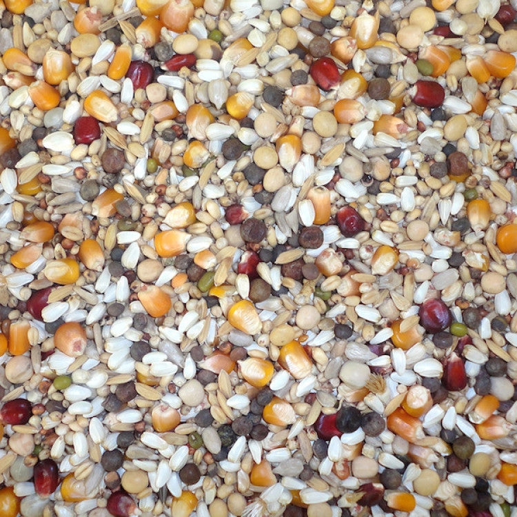 Racing Special Derwa Hot Climate 20 kg