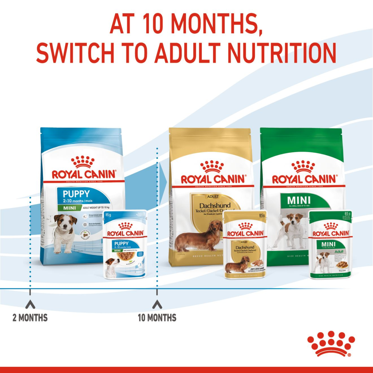 Royal Canin Size Health Nutrition Mini Puppy (Wet Food - Pouches) 12 x 85 g