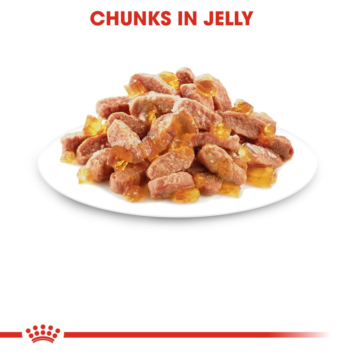 Royal Canin Feline Health Nutrition Kitten Jelly (Wet Food - Pouches) 12 x 85 g