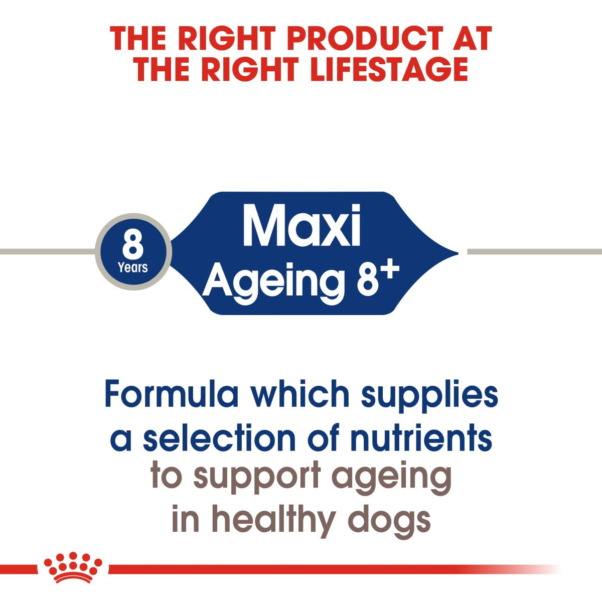 Royal Canin Size Health Nutrition Maxi Ageing 8+ 15 kg