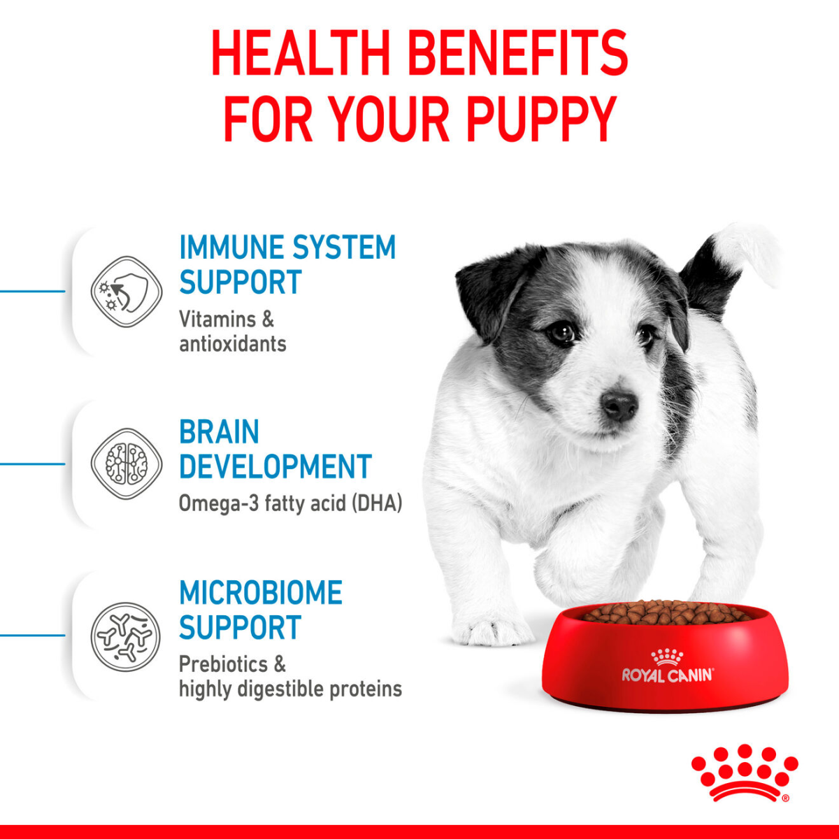 Royal Canin Size Health Nutrition Mini Puppy 2 kg