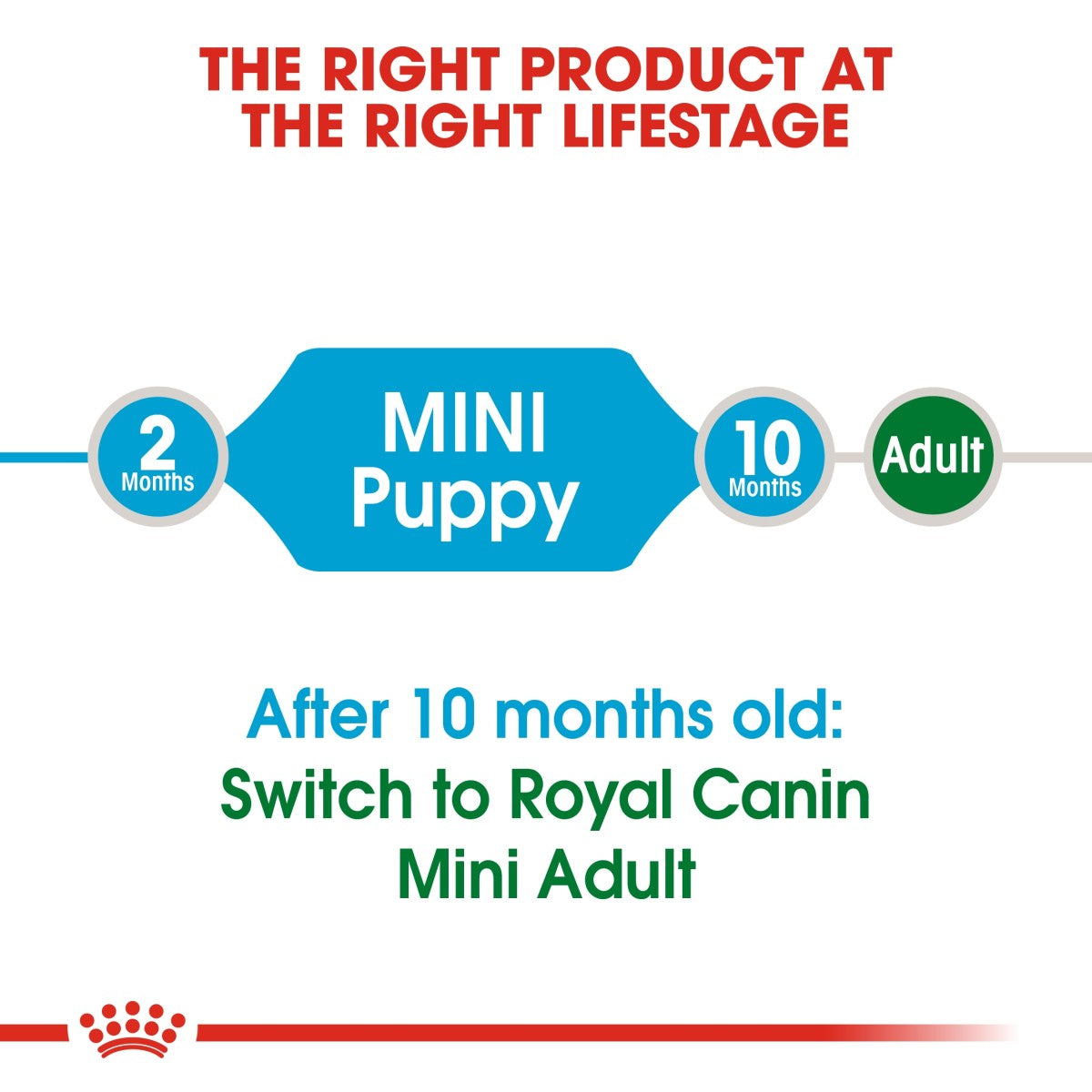 Royal Canin Size Health Nutrition Mini Puppy 2 kg