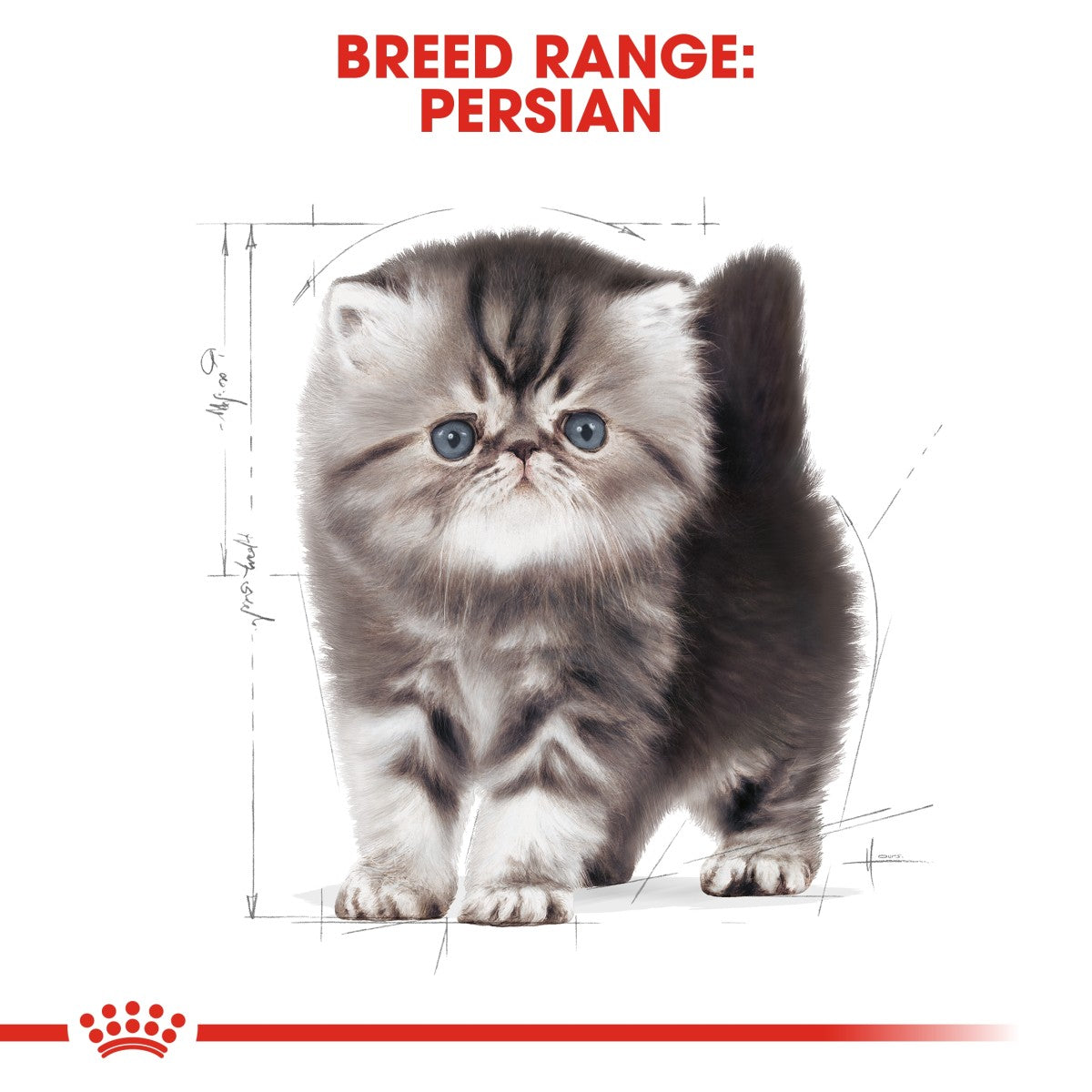 Royal Canin Feline Breed Nutrition Persian Kitten 400 g