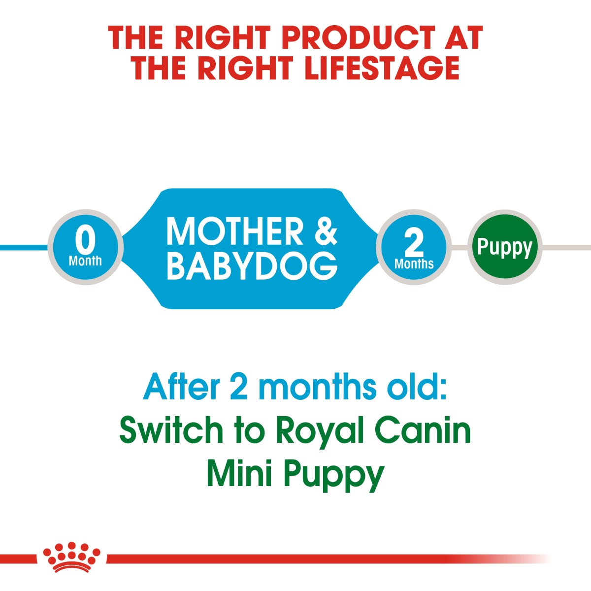 Royal Canin Size Health Nutrition Mini Starter 1 kg