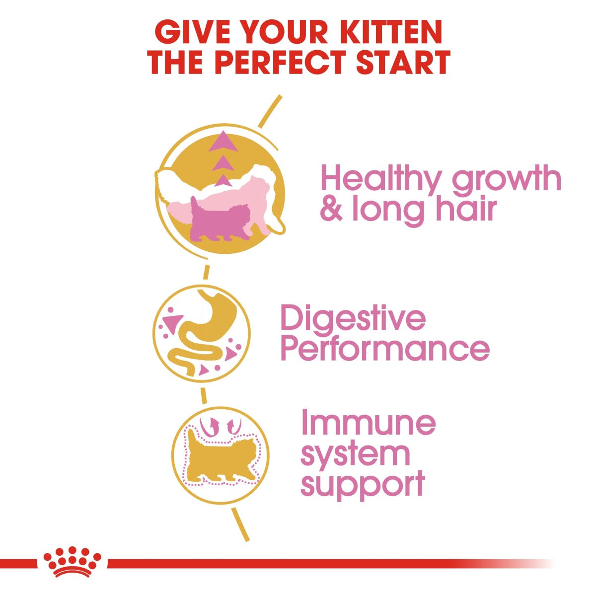 Royal Canin Feline Breed Nutrition Persian Kitten 400 g