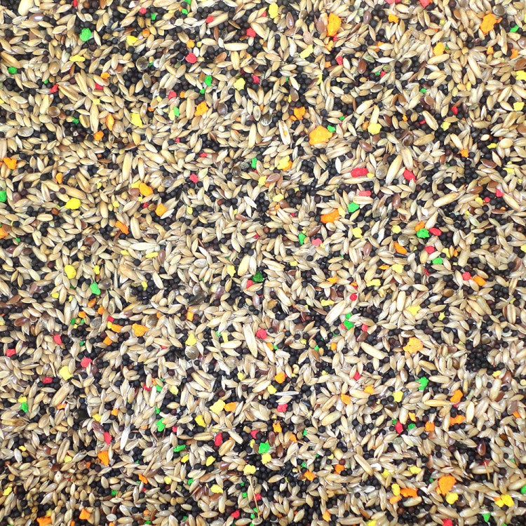 Canary Budget Mix 20 kg