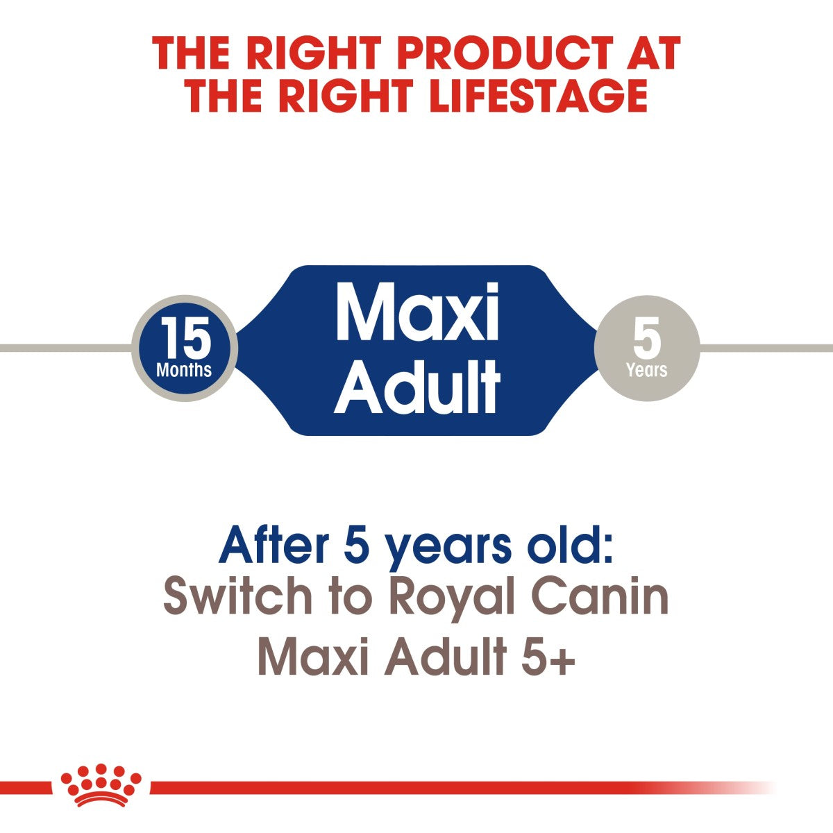 Royal Canin Size Health Nutrition Maxi Adult 4 kg