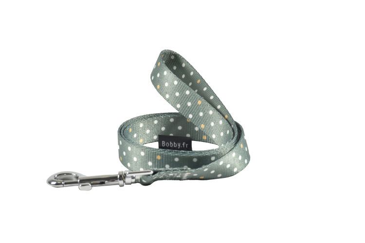 Pretty Leash Green, Medium