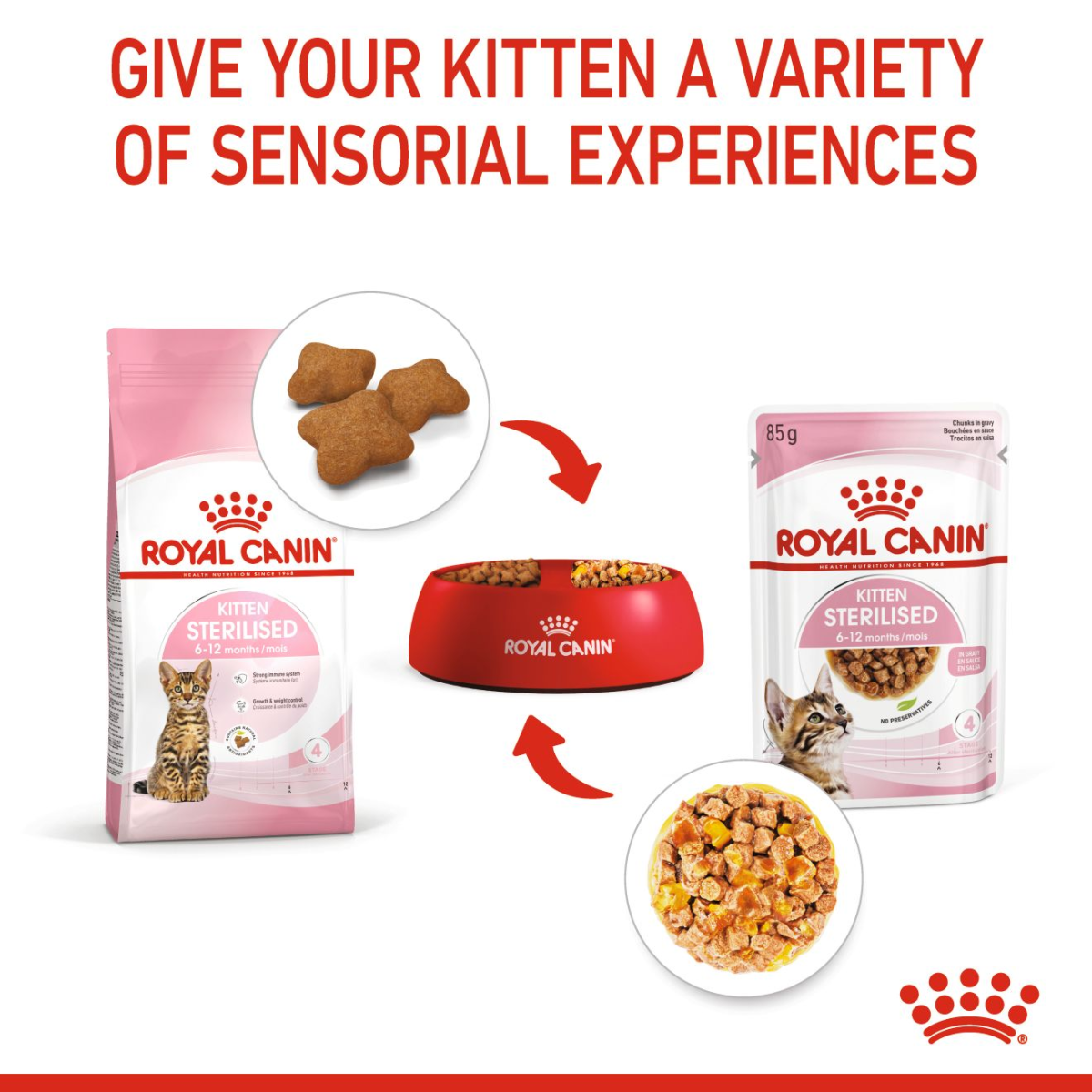 Royal Canin Feline Health Nutrition Kitten Sterilised Gravy (Wet Food - Pouches) 12 x 85 g