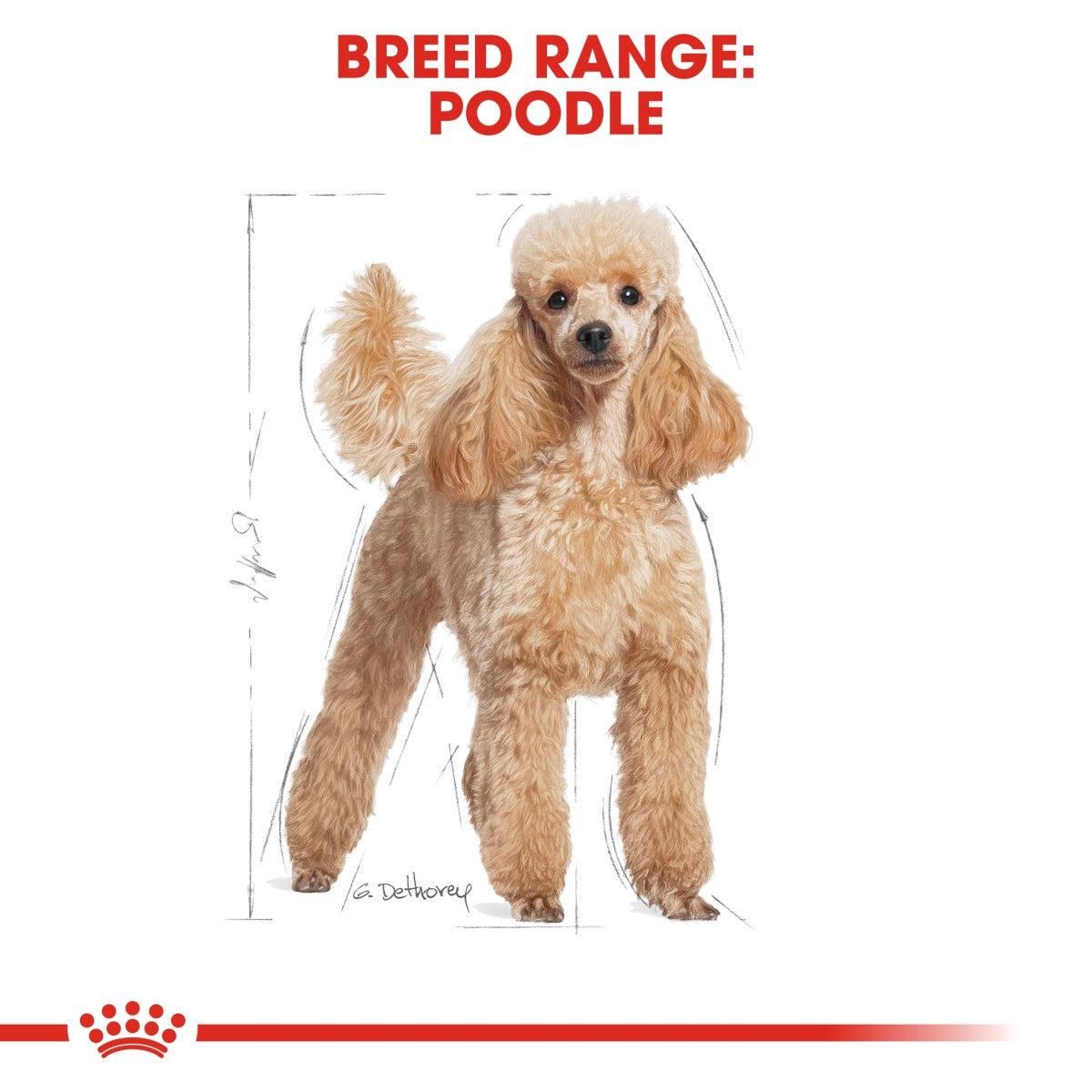 Royal Canin Breed Health Nutrition Poodle Adult 7.5kg