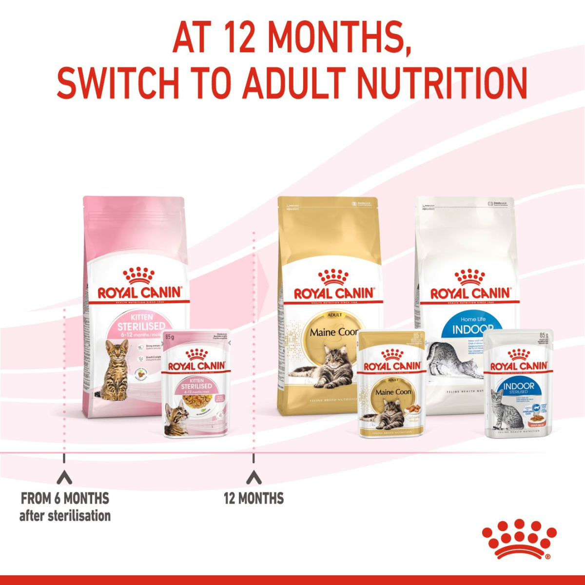 Royal Canin Feline Health Nutrition Kitten Sterilised Gravy (Wet Food - Pouches) 12 x 85 g