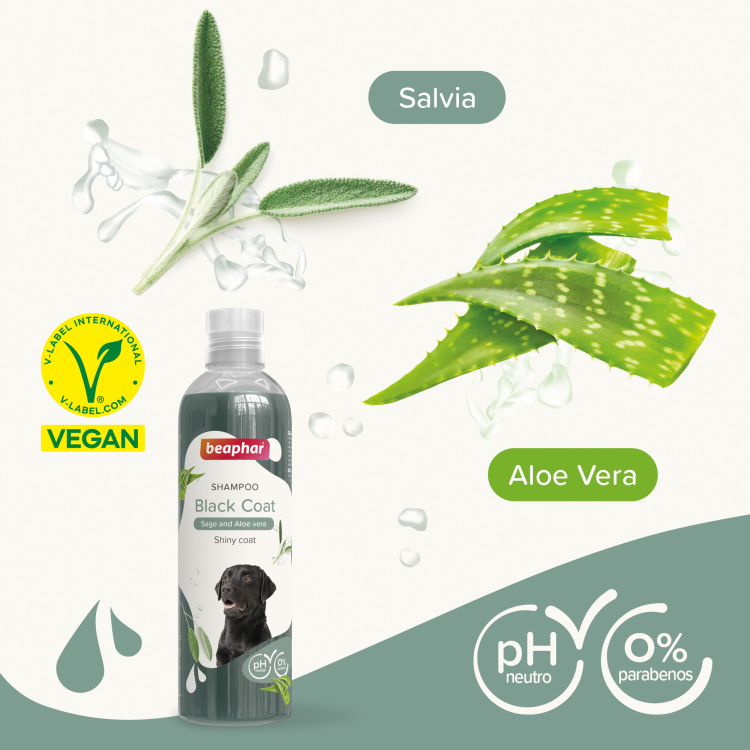 Shampoo Black Coat for Dogs 250 ml
