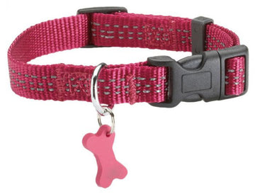 Safe Collar Fuchsia, Medium