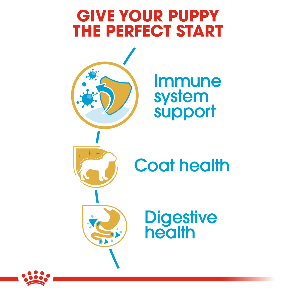 Royal Canin Breed Health Nutrition Poodle Puppy 3 kg