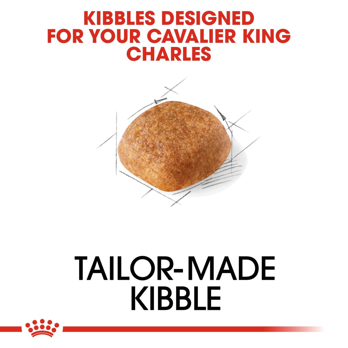 Royal Canin: Breed Health Nutrition Cavalier King Charles Adult 1.5 kg