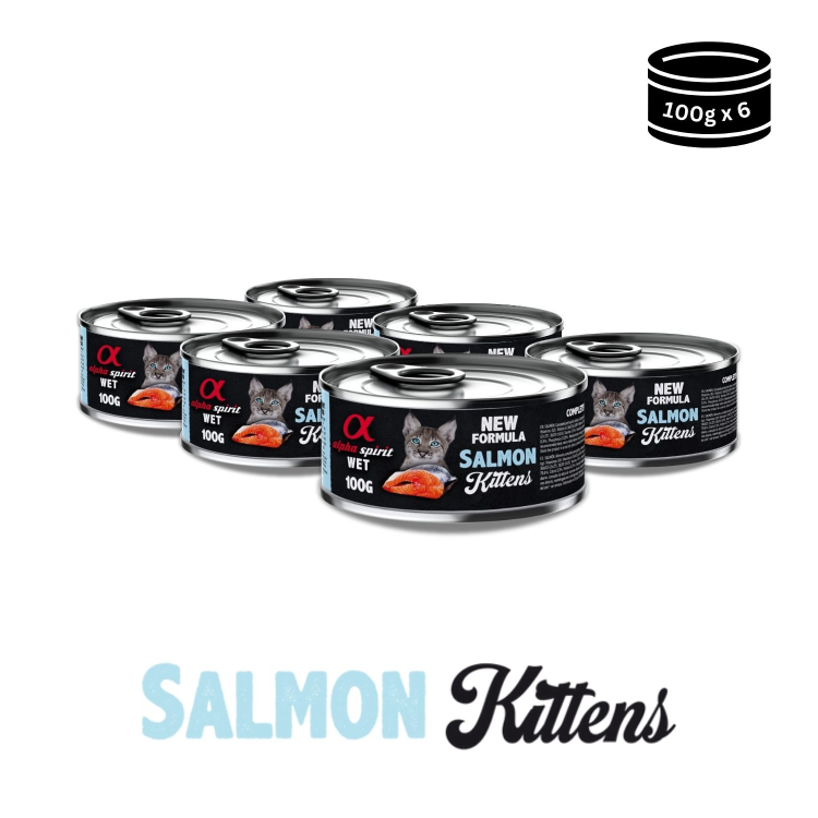 Alpha Spirit Wet Food for Kittens Salmon, 6 x 100 g cans