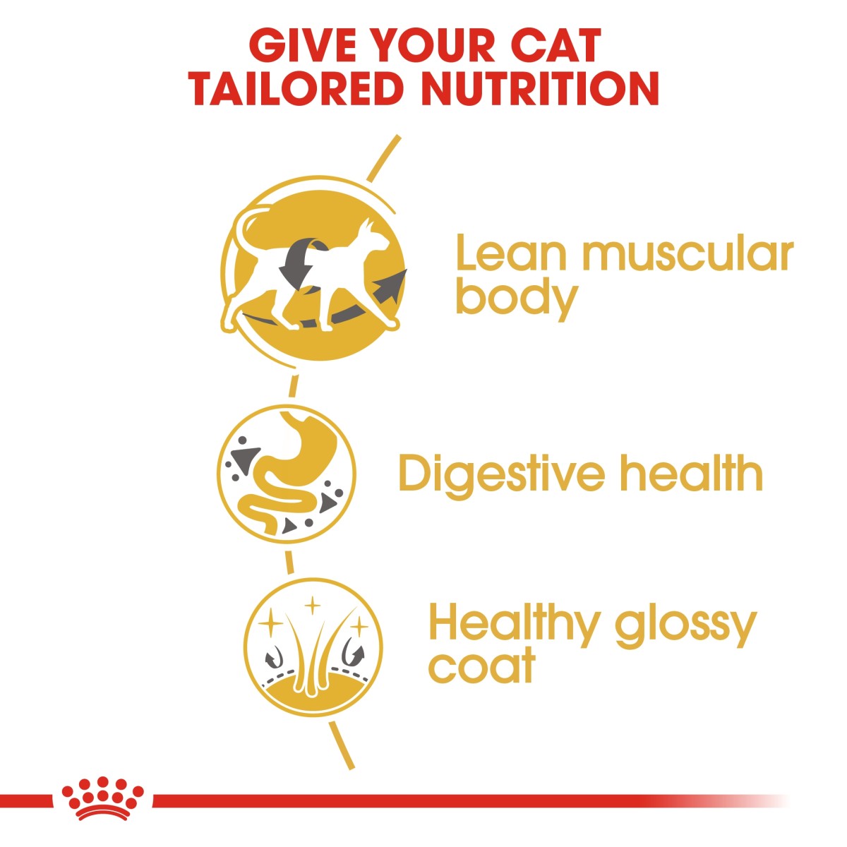 Royal Canin Feline Breed Nutrition Siamese Adult 2 kg