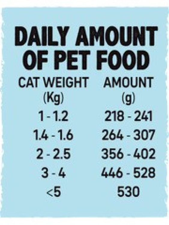 Alpha Spirit Wet Food for Kittens Salmon, 6 x 100 g cans
