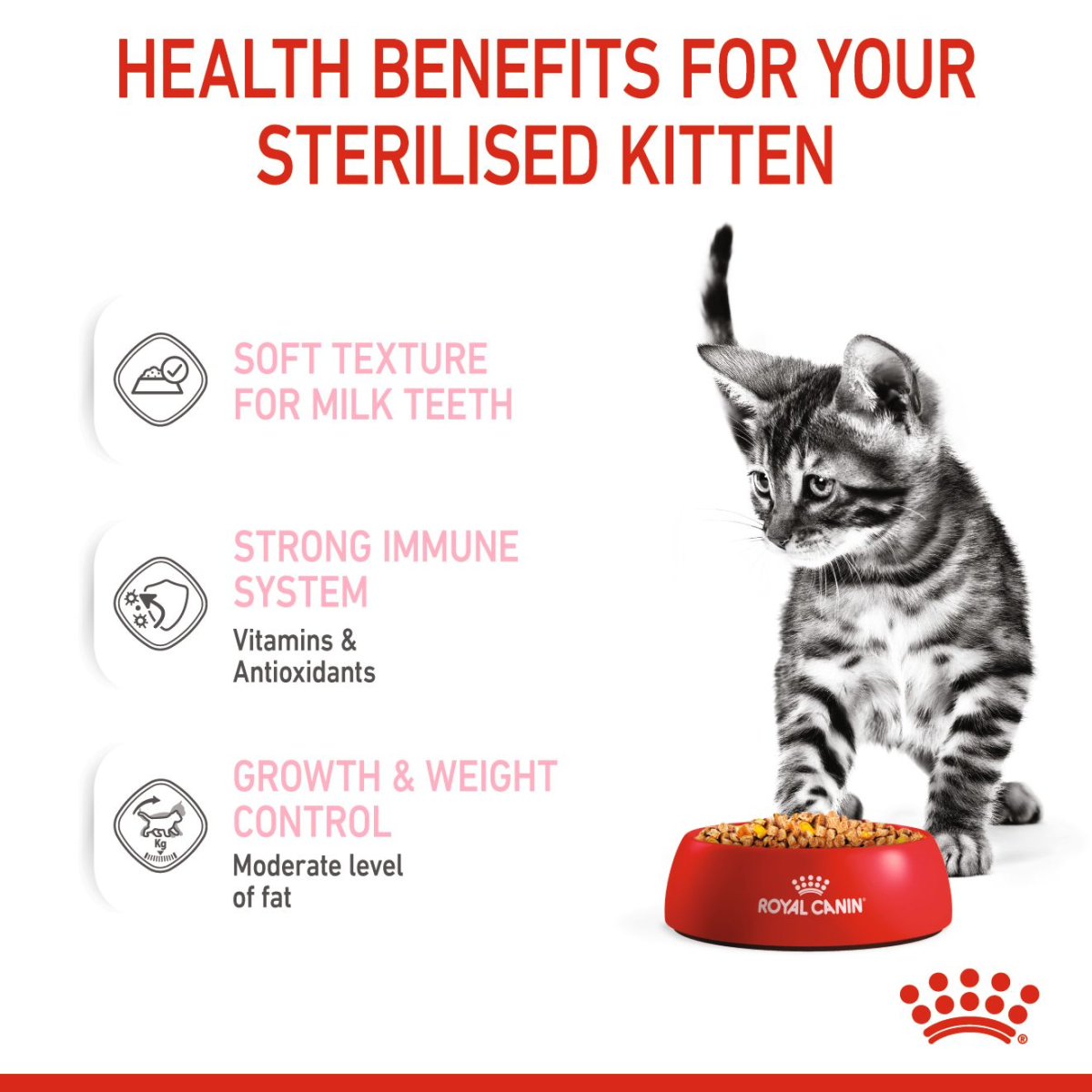 Royal Canin Feline Health Nutrition Kitten Sterilised Jelly (Wet Food - Pouches) 12 x 85 g