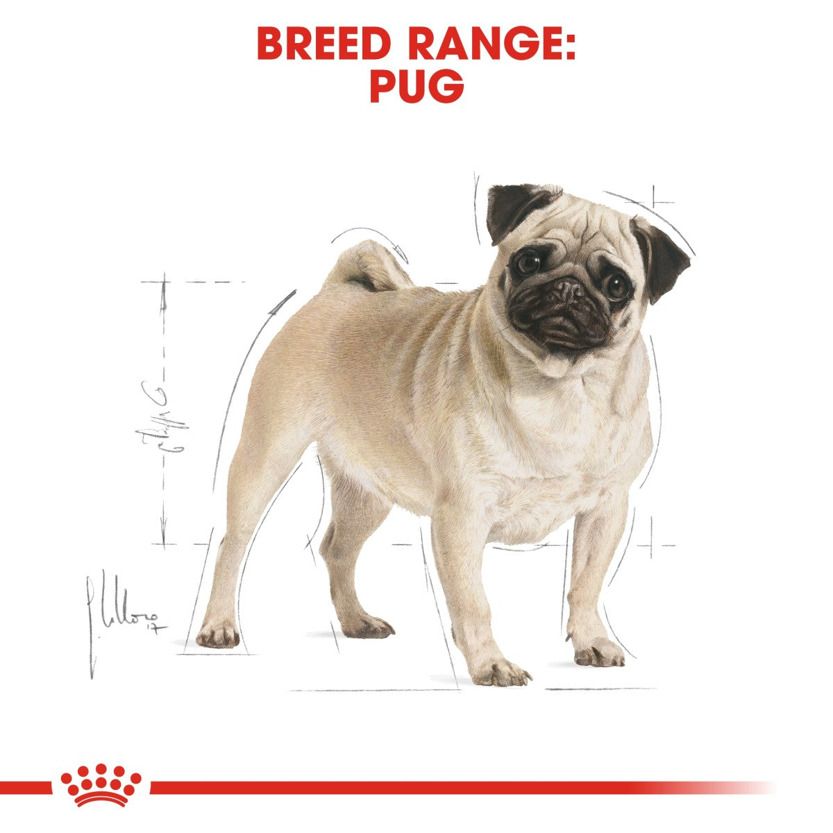 Royal Canin Breed Health Nutrition Pug Adult 7.5 kg