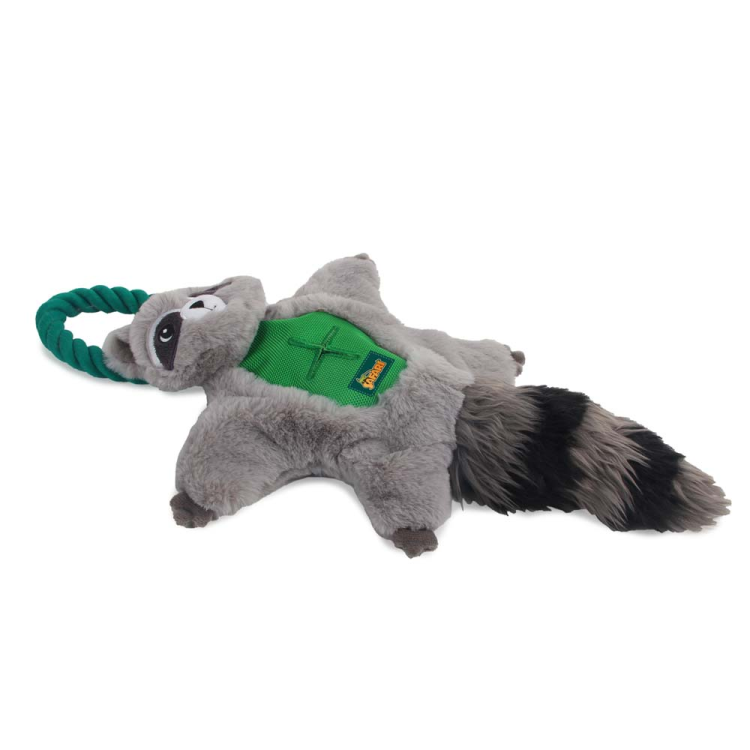 afp Safari Air Raccoon