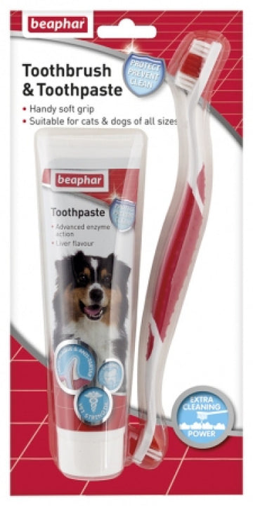 Toothbrush & Toothpaste Combipack for Dogs & Cats