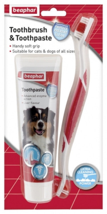 Toothbrush & Toothpaste Combipack for Dogs & Cats