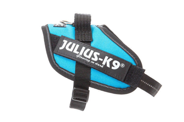 IDC Powerharness Aquamarine Size Mini-Mini