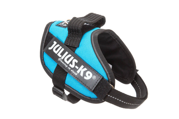 IDC Powerharness Aquamarine Size Mini-Mini