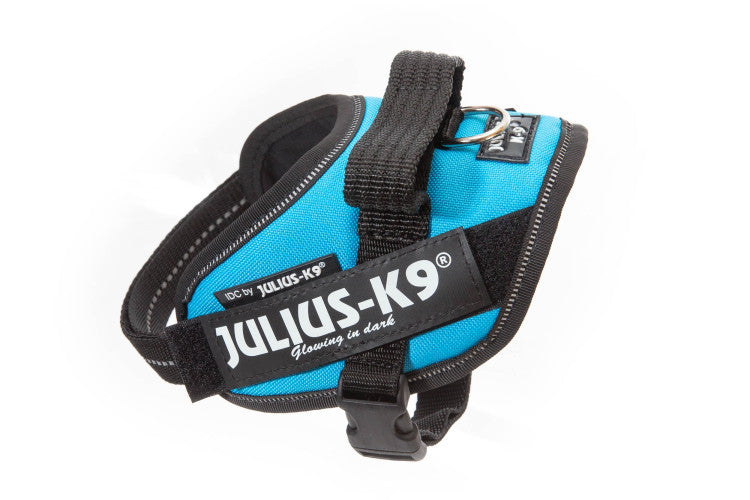 IDC Powerharness Aquamarine Size Mini-Mini
