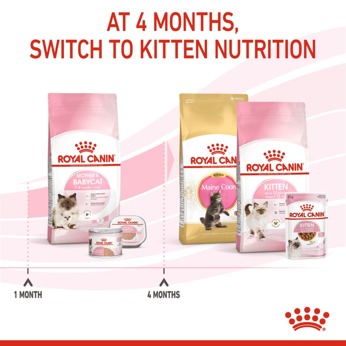 Royal Canin Feline Health Nutrition Mother & Babycat 10 kg