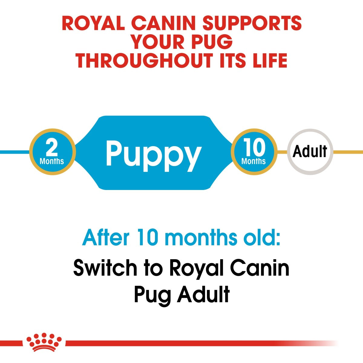 Royal Canin Breed Health Nutrition Pug Puppy 1.5 kg