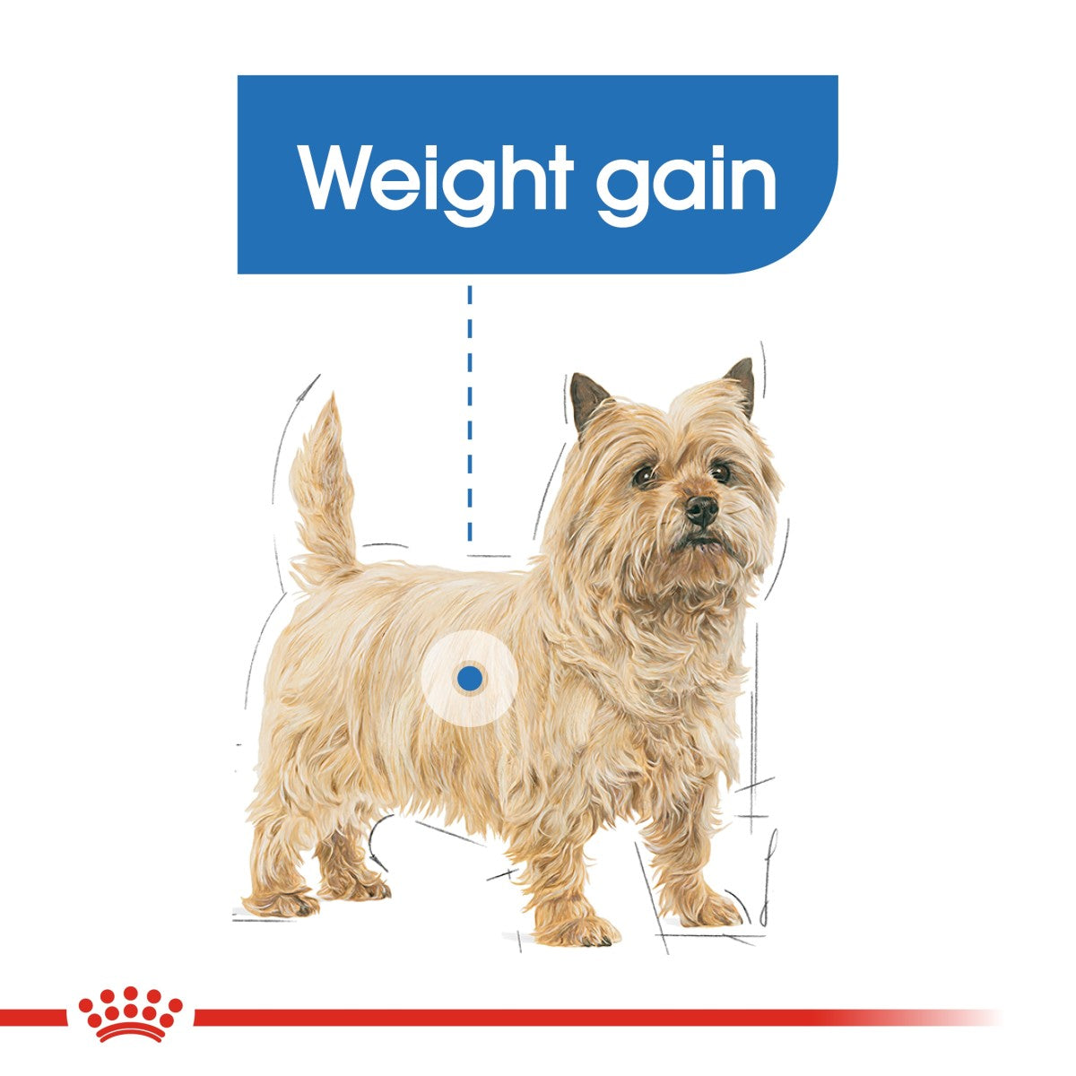Royal Canin Canine Care Nutrition Light Weight Care (Wet Food - Pouches) 12 x 85 g