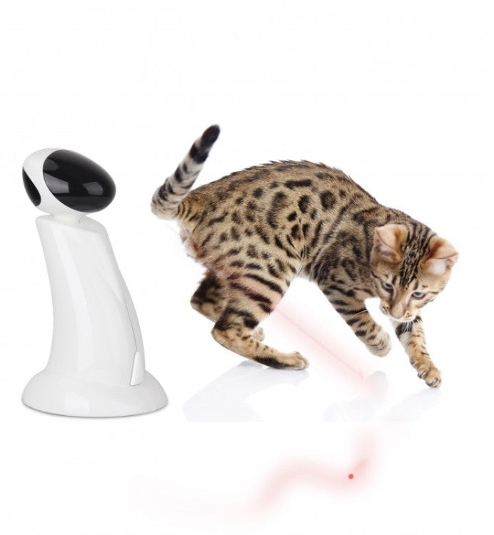 afp Lazer Beam Cat Toy