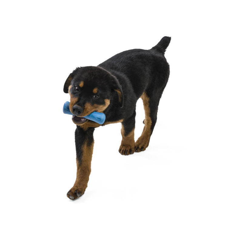 West Paw Drifty Seaflex Dog Toy