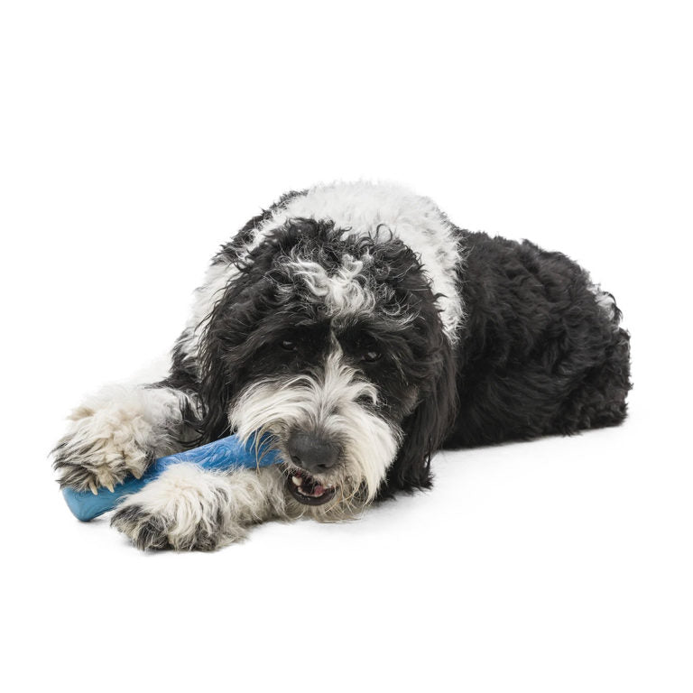 West Paw Drifty Seaflex Dog Toy