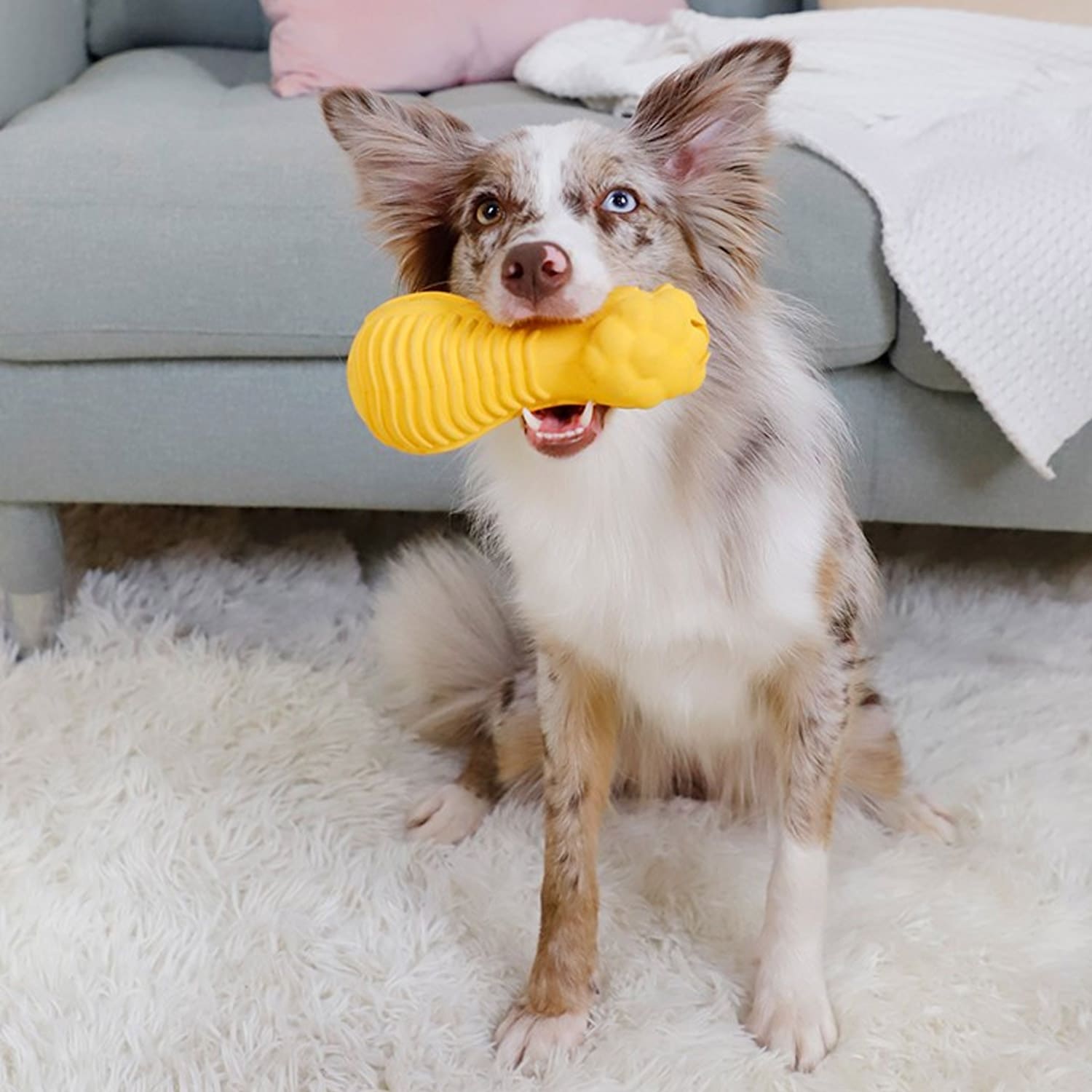 GiGwi DUMBBELL HEADS Lion – Squeak and stuffable