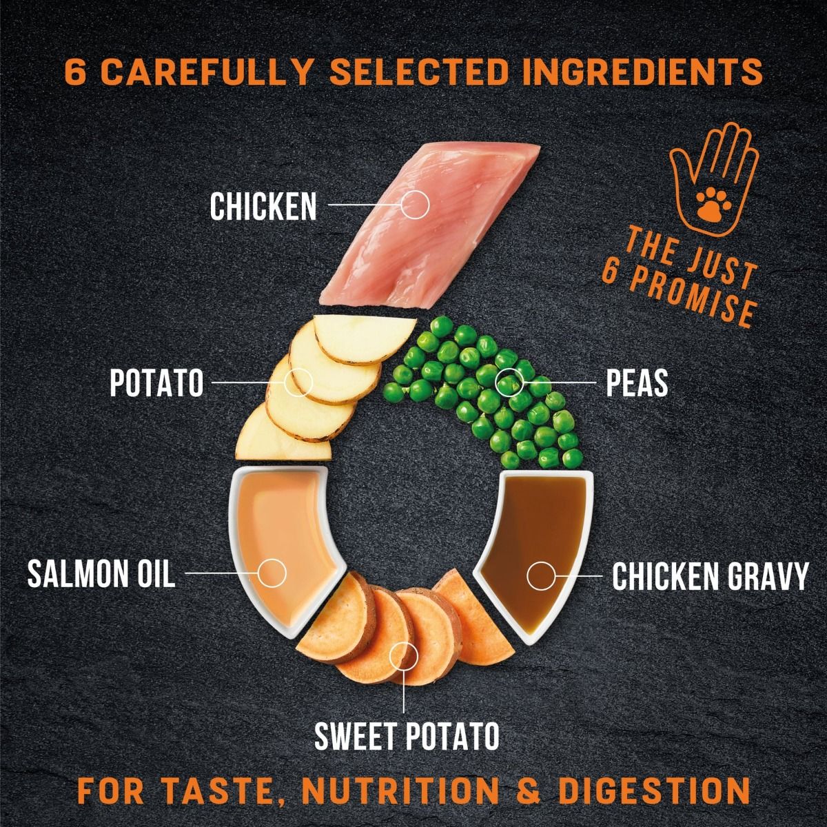 Harringtons Just 6 Chicken Grain Free Adult Wet Dog Food 380g