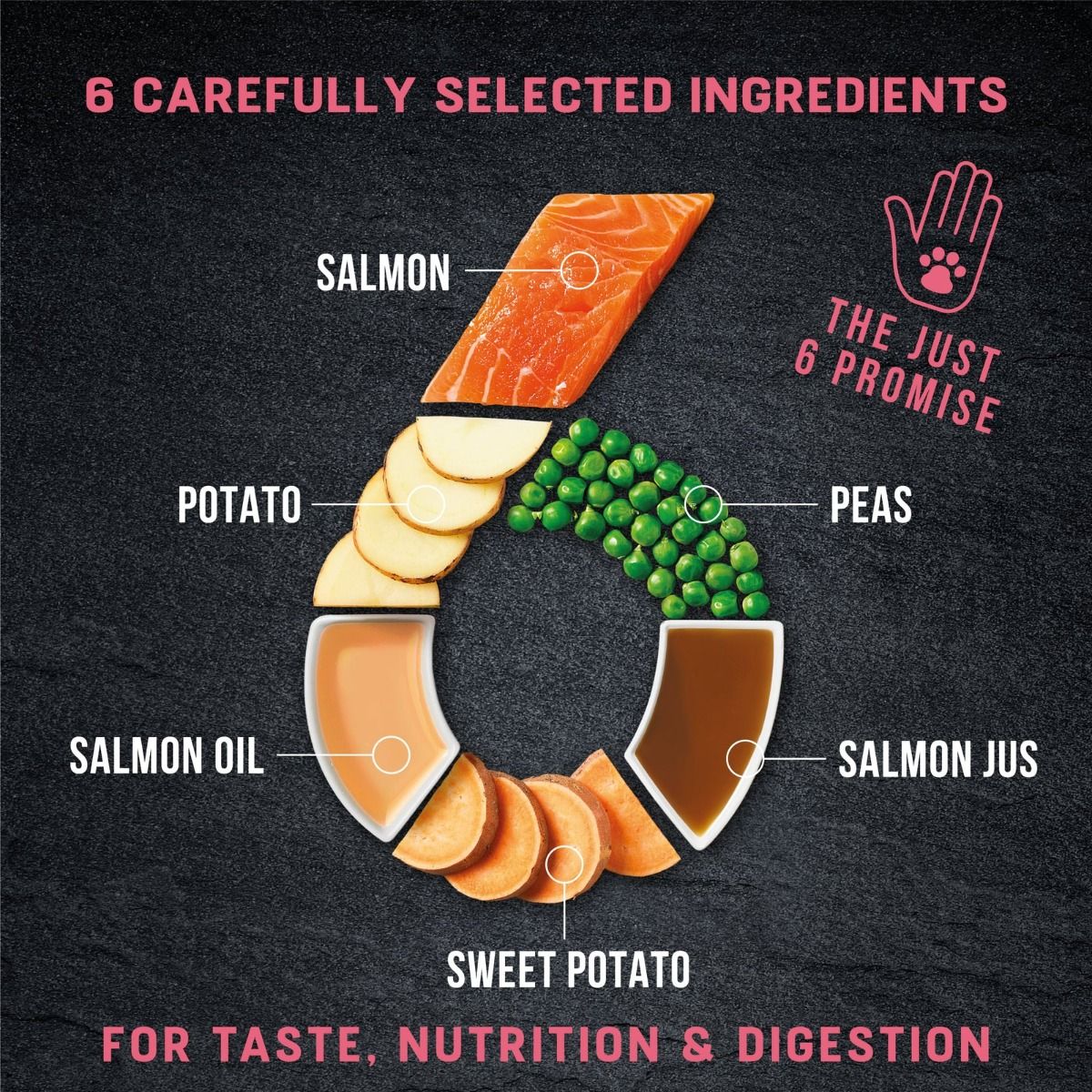 Harringtons Just 6 Salmon Grain Free Adult Wet Dog Food 380g