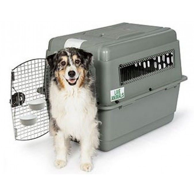 Petmate Sky Kennel Dog Crate