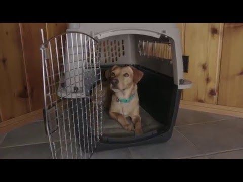 Petmate Sky Kennel Dog Crate