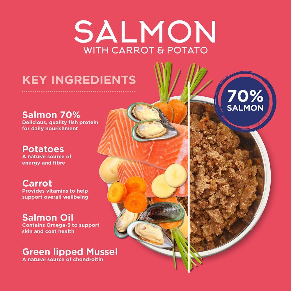 Fish4dogs Finest Complete Salmon with Carrot & Potato Wet Dog Food 395g