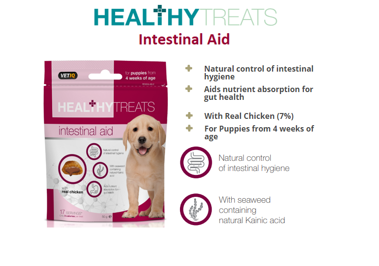 Healthy Treats Intestinal Aid for Puppies