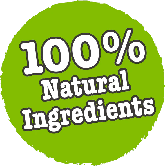 Little BigPaw Steamed Atlantic Salmon & Vegetables Dinner Wet Dog Food 150g