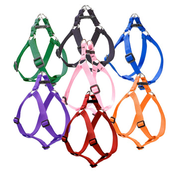 Large Dog Basics Step In Harness 1″