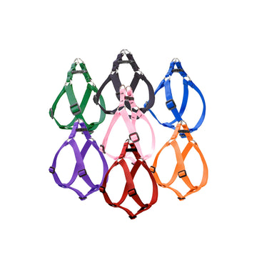 LupinePet Small Dog Basics Step In Harness 1/2″